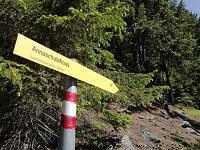 Trattenbergsteig zum Ederplan wieder frei!