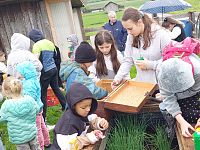 Bilder - Schatzsuche 24.04.2025