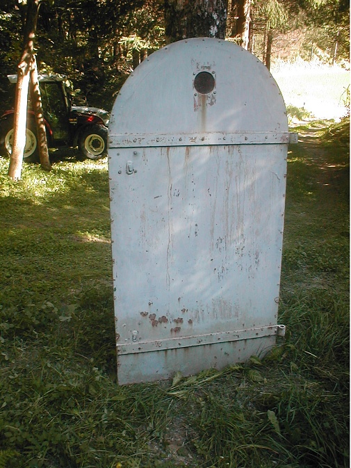 Alte Bassintüre