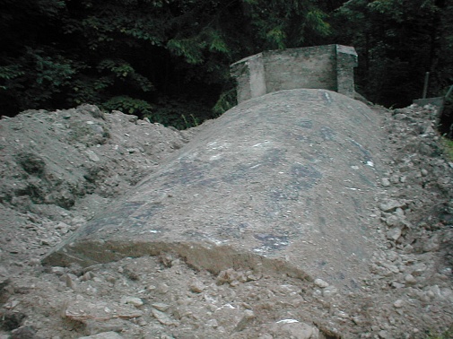 Bassin freilegen 3