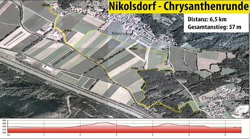 Nikolsdorf_Chrysanthenrunde