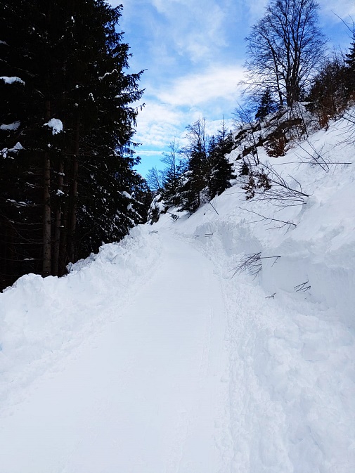 Rabantweg