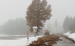 Zappernitzbachaustritt bei Brücke L27 Lengberg