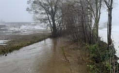 Laue von Brücke Ortner Säge