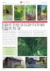 Nikolsdorf-GZ-Ausgabe-03-Jul-23-100er-page40.jpg