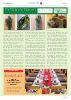 Nikolsdorf-GZ-Ausgabe-04-Nov-23-100er-page17.jpg