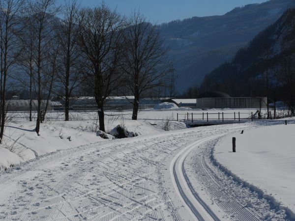Die Langlaufloipe der Gemeinde Nikolsdorf.