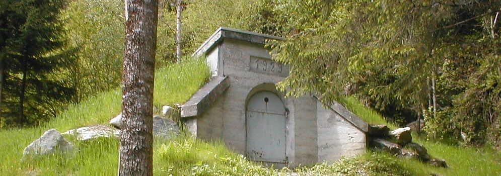 Ein Betonbau mit einem gewölbten Tor, teilweise mit Gras bewachsen und von Bäumen umgeben