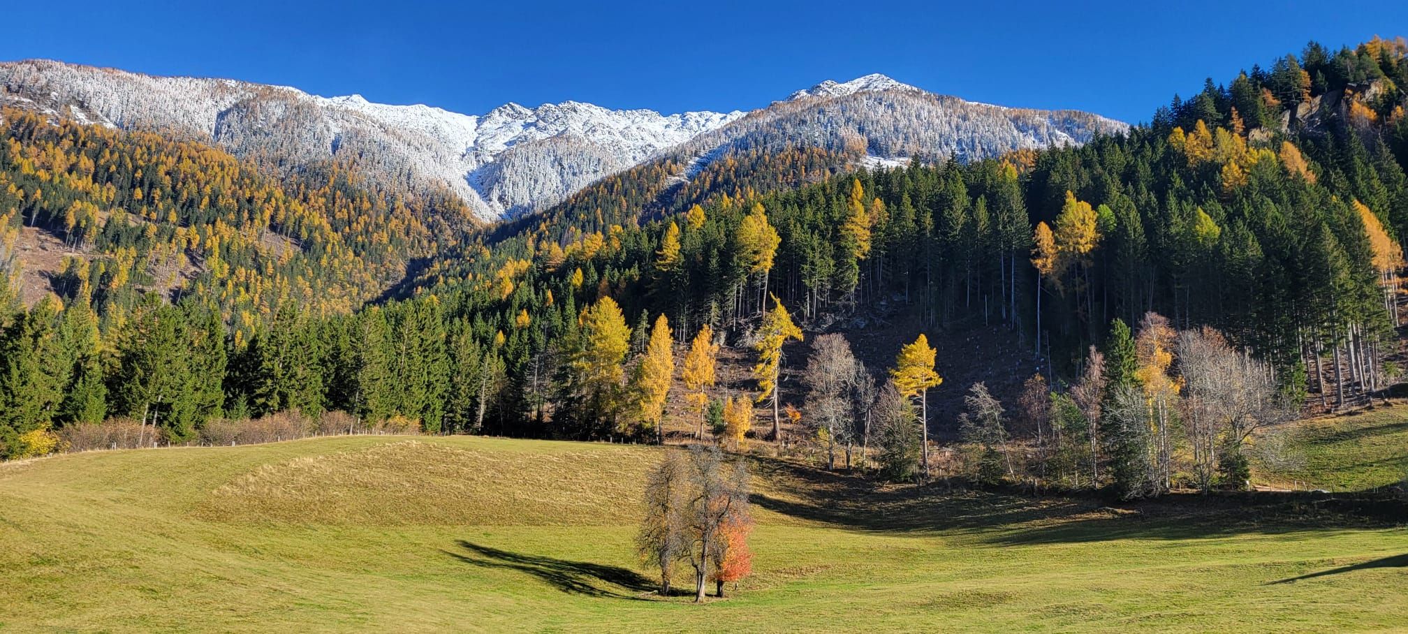Bergfoto Plone Herbstfoto mit schneebedeckter Bergkulisse mit Blick auf den Ziethenkopf